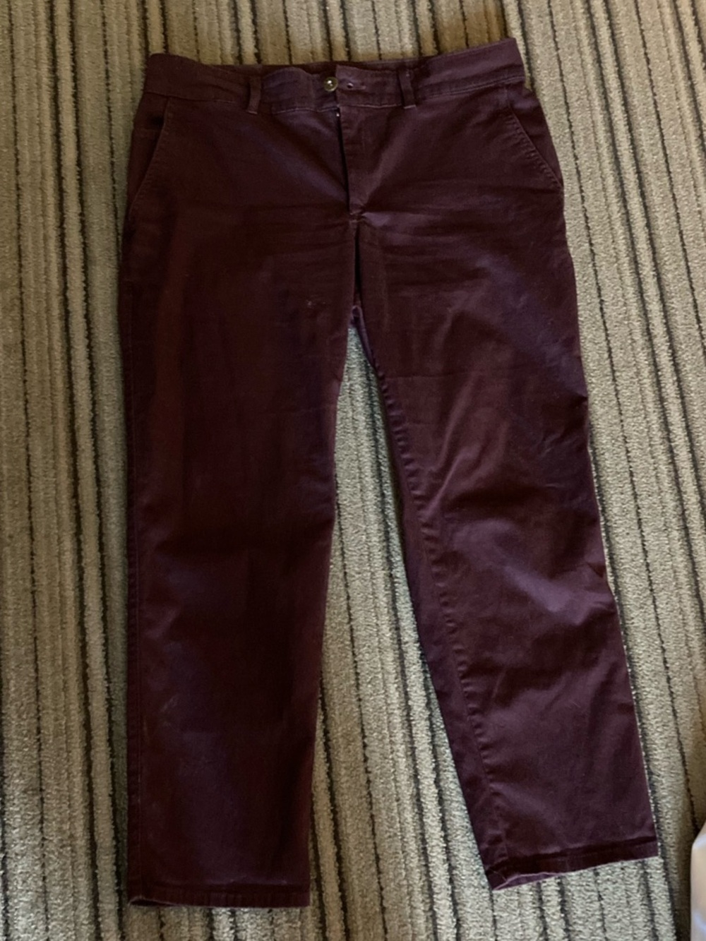 The North Face Purple Women’s Chinos- size 8